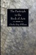 The Participle in the Book of Acts - Bild 1