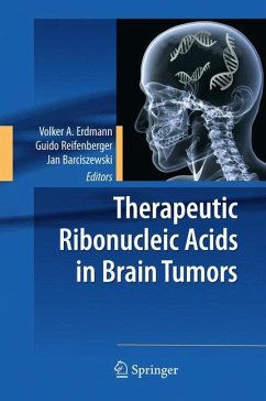 Therapeutic Ribonucleic Acids in Brain Tumors - Erdmann, Volker A. / Reifenberger, Guido / Barciszewski, Jan (ed.)
