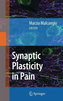 Synaptic Plasticity in Pain