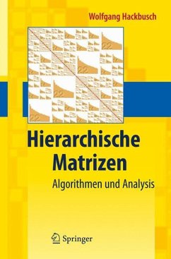Hierarchische Matrizen - Hackbusch, Wolfgang