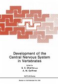 Development of the Central Nervous System in Vertebrates
