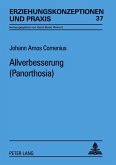 Allverbesserung (Panorthosia)