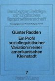 Ein Profil soziolinguistischer Variation in einer amerikanischen Kleinstadt