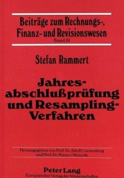 Jahresabschlußprüfung und Resampling-Verfahren - Rammert, Stefan