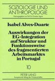 Auswirkungen der EG-Integration auf Struktur und Funktionsweise des fragmentierten Arbeitsmarktes in Portugal