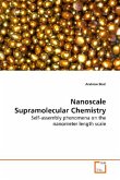 Nanoscale Supramolecular Chemistry