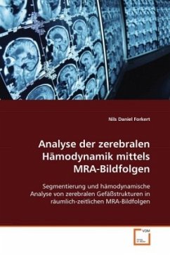 Analyse der zerebralen Hämodynamik mittels MRA-Bildfolgen - Forkert, Nils Daniel