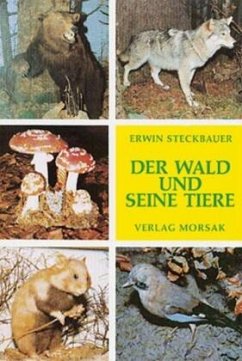 Der Wald und seine Tiere - Steckbauer, Erwin