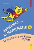 Aufsteigen in Mathematik 4