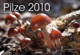 Pilze 2010