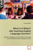 What Is It REALLY Like Teaching English Language Learners?