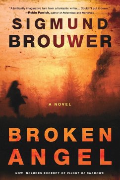 Broken Angel - Brouwer, Sigmund