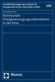 Kommunale Energieversorgungsunternehmen in der Krise