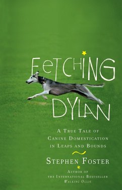 Cover Fetching Dylan