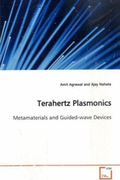 Cover Terahertz Plasmonics