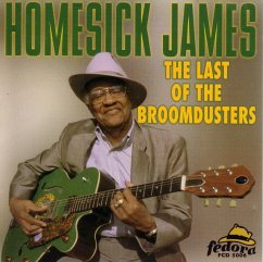 Last Of The Broomdusters - Homesick James