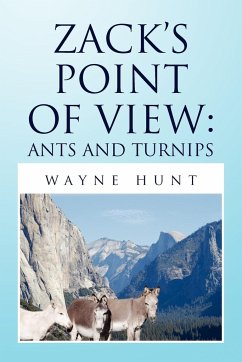 Zack's Point of View - Hunt, Wayne
