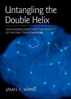 Untangling the Double Helix - Wang, James C