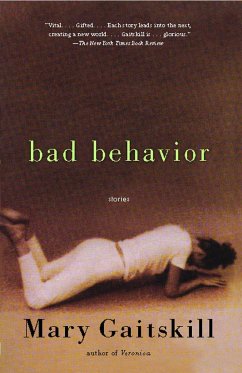 Bad Behavior - Gaitskill, Mary