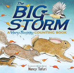 The Big Storm: A Very Soggy Counting Book - Tafuri, Nancy
