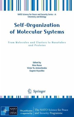 Self-Organization of Molecular Systems - Russo, Nino / Antonchenko, Victor Ya. / Kryachko, Eugene (ed.)