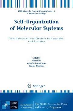 Self-Organization of Molecular Systems - Russo, Nino / Antonchenko, Victor Ya. / Kryachko, Eugene (ed.)