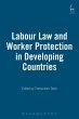 Labour Law and Worker Protection in... - Bild 1