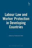 Labour Law and Worker Protection in Developing Countries