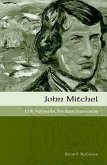 John Mitchel: Irish Nationalist, Southern Secessionist