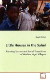 Little Houses in the Sahel