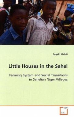 Little Houses in the Sahel - Mehdi, Saqalli