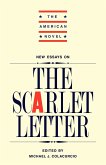 New Essays on 'The Scarlet Letter'