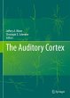 The Auditory Cortex - Bild 1