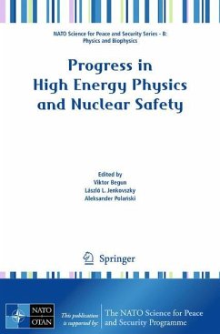Progress in High Energy Physics and Nuclear Safety - Begun, Viktor / Jenkovszky, László L. / Polanski, Aleksander (ed.)