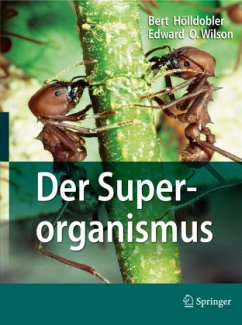 Der Superorganismus - Hölldobler, Bert;Wilson, Edward O.