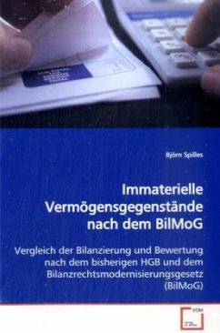 Immaterielle Vermögensgegenstände nach dem BilMoG - Spilles, Björn