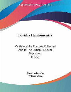 Fossilia Hantoniensia