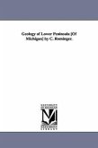 Geology of Lower Peninsula [Of Michigan] by C. Rominger.