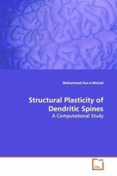 Structural Plasticity of Dendritic Spines - Dur-e-Ahmad, Muhammad