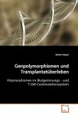 Genpolymorphismen und Transplantatüberleben