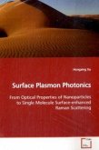 Surface Plasmon Photonics