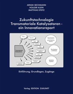 Zukunftstechnologie Transmateriale Katalysatoren - ein Innovationsreport - Bechmann, Arnim; Steitz, Matthias; Klein, Holger