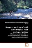 Biogeochemistry of mid-sized tropical river, Linthipe, Malawi