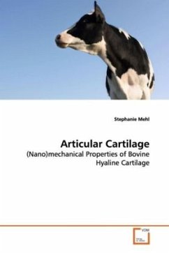 Articular Cartilage - Mehl, Stephanie