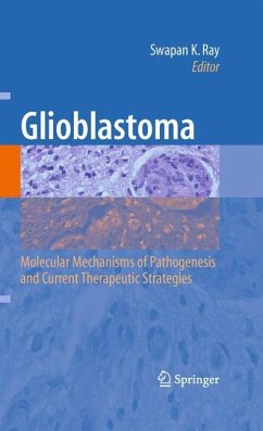 Glioblastoma: - Ray, Swapan K. (Hrsg.)