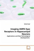Imaging AMPA-Type Receptors in Hippocampal Neurons
