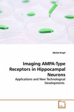 Imaging AMPA-Type Receptors in Hippocampal Neurons - Kropf, Michel