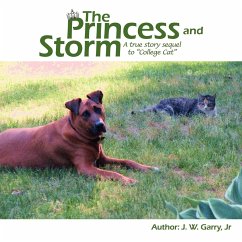 The Princess and Storm - J. W. Garry, Jr.