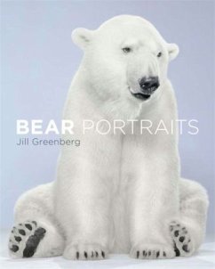 Bear Portraits - Greenberg, Jill