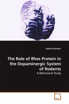 The Role of Rhes Protein in the Dopaminergic System of Rodents - Quintero, Gabriel